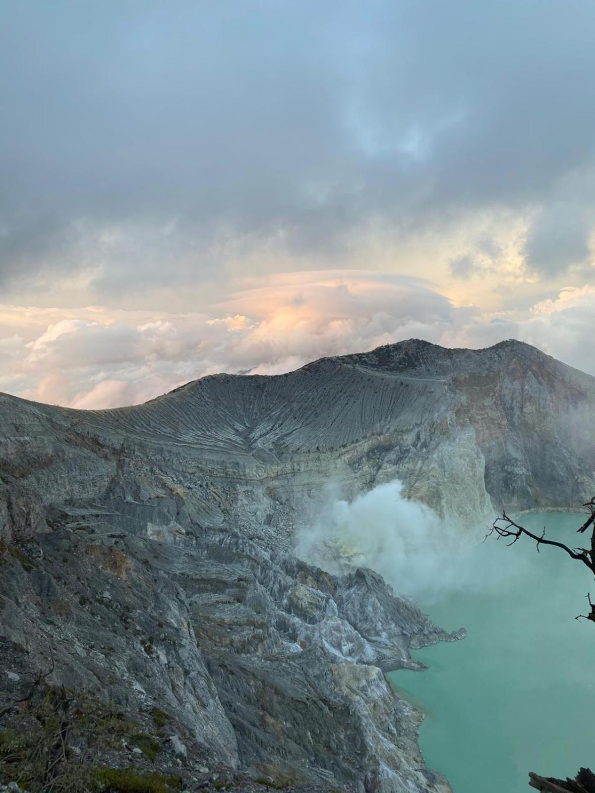 Wangi * Banyuwangi (East Java)